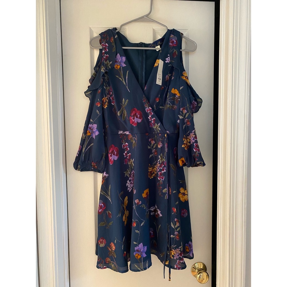 Francescas dress with tags!